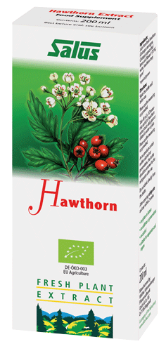 Hawthorn Plant Extract