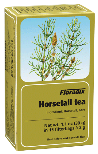 Horsetail Herbal Teabags