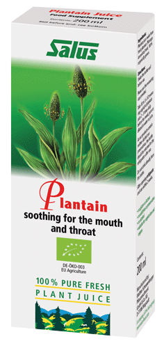 Plantain Plant Juice