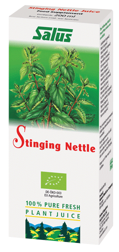 Stinging Nettle Plant Juice